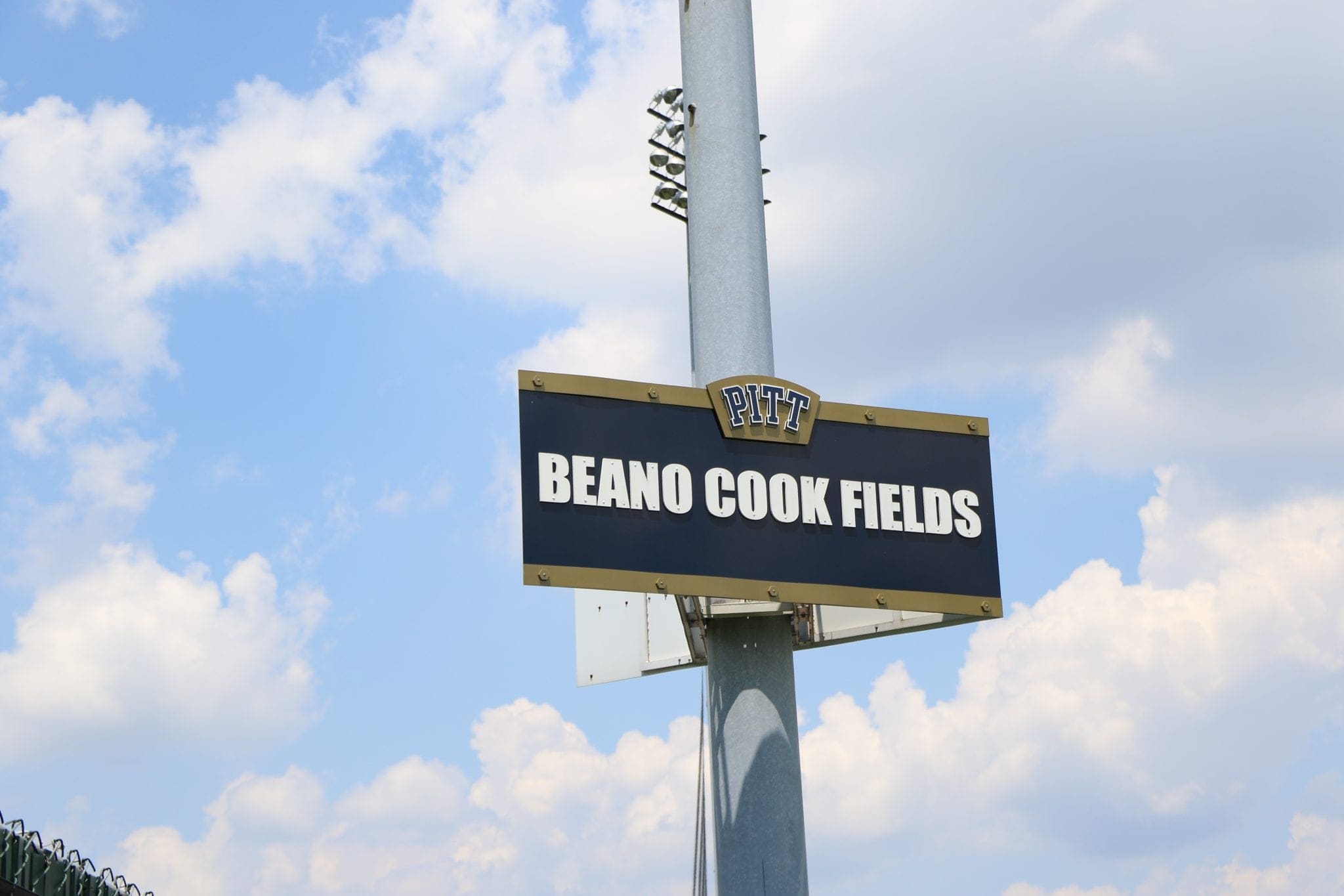 Beano Cook Fields
