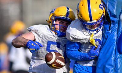 Pitt linebacker Drew Foster (51) rips the ball out during a spring drill. March 13, 2025 -- Ed Thompson / PSN
