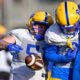 Pitt linebacker Drew Foster (51) rips the ball out during a spring drill. March 13, 2025 -- Ed Thompson / PSN