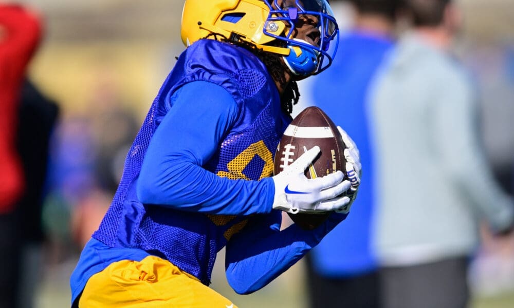 Pitt WR Cataurus Hicks (81)