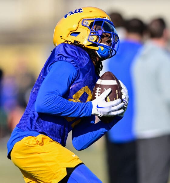 Pitt WR Cataurus Hicks (81)