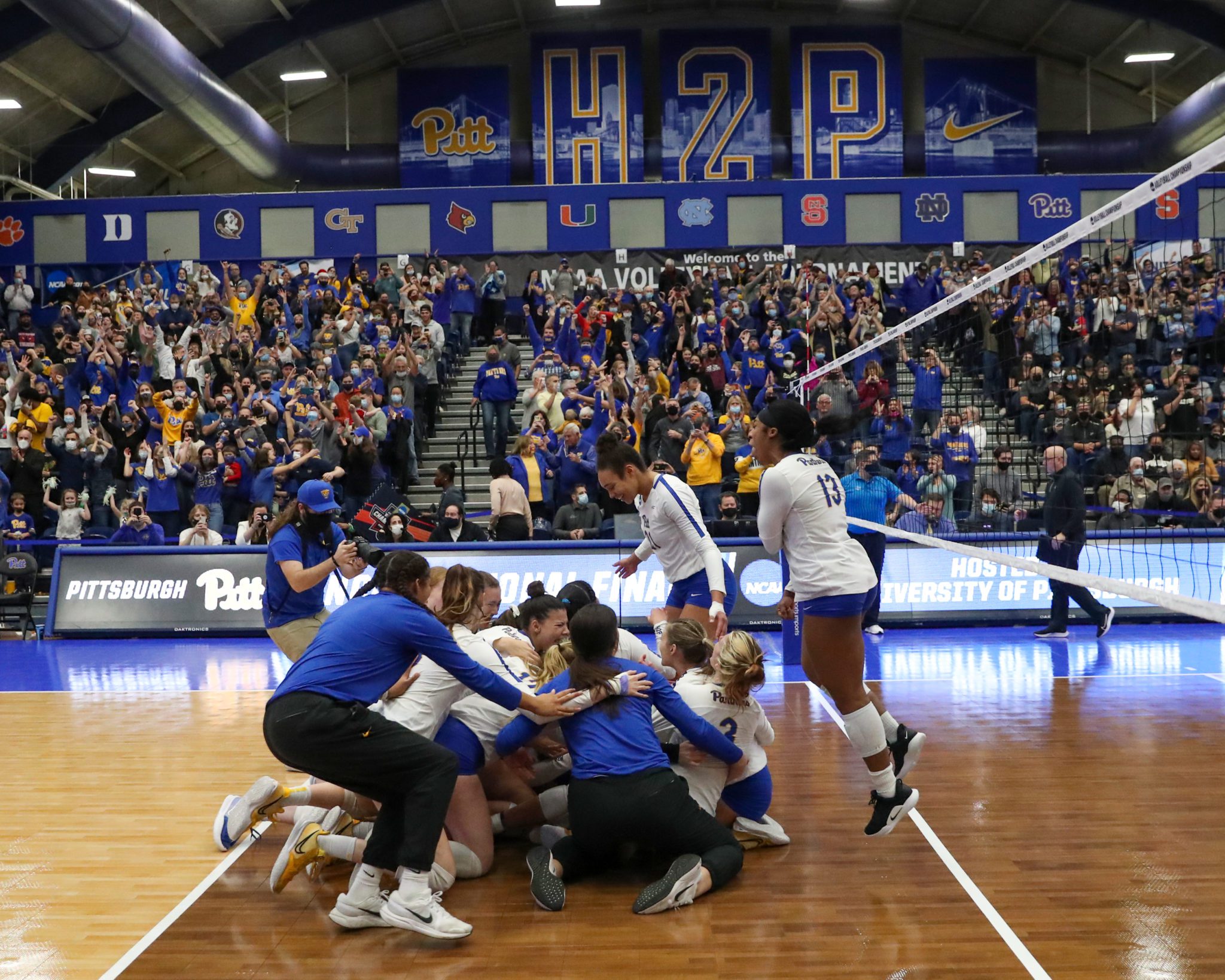 Volleyball: Pro Panthers - Pitt Panthers #H2P