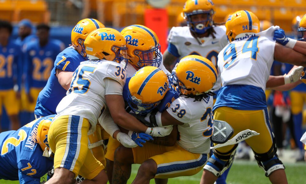 Gold Knocks Off Blue, 1710, in 2024 Pitt Spring Game