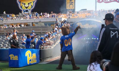 Pitt football