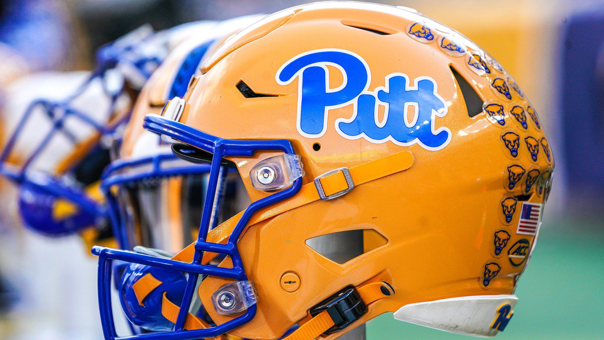 Pitt football helmet.
