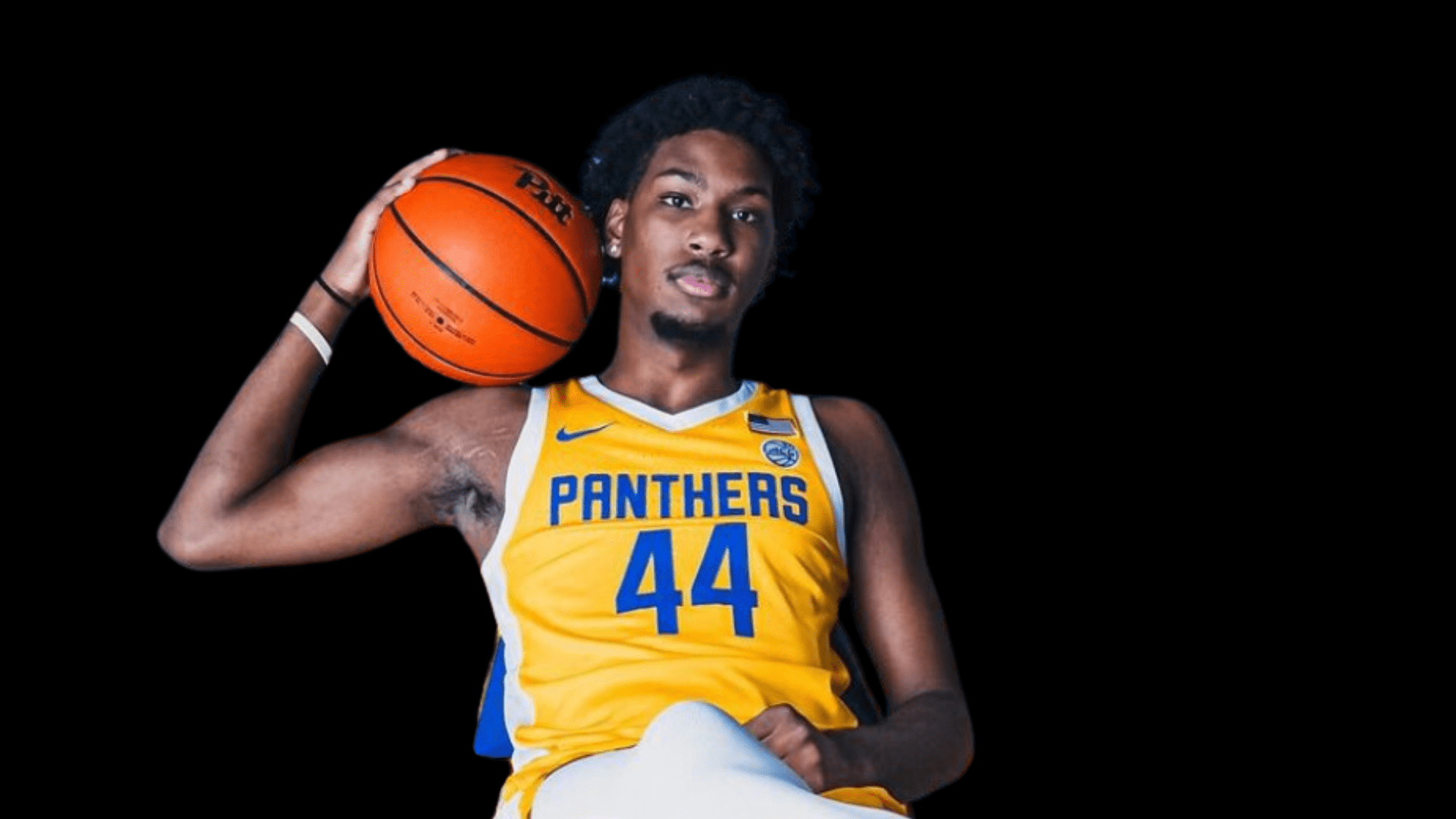 Pitt panthers basketball roster online