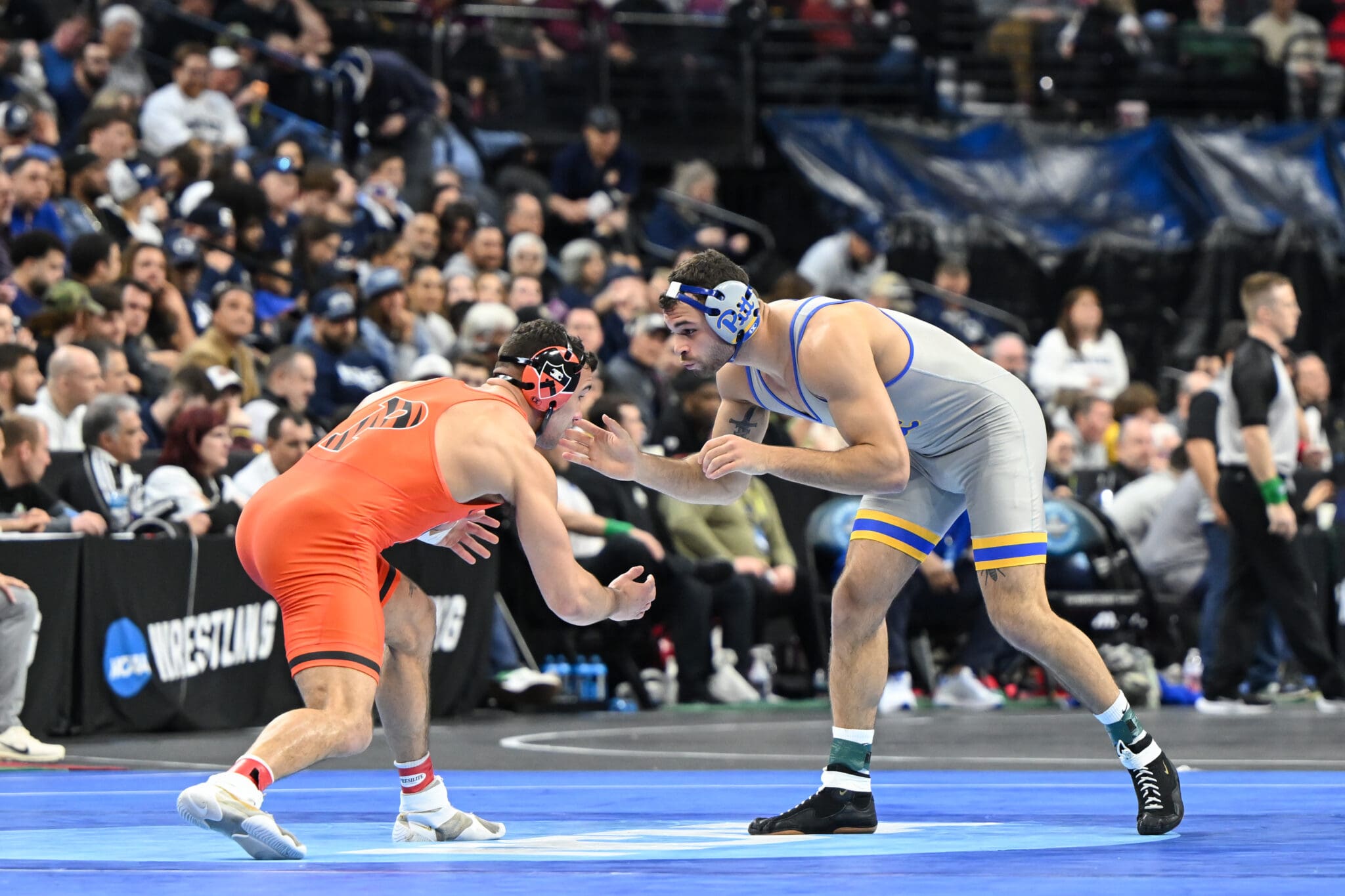 Luke Stout (Princeton), Mac Stout (Pitt) square off in Philadelphia, Pa. Photo courtesy of Pitt Athletics.
